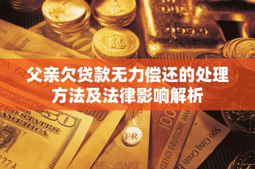 武汉父亲欠贷款无力偿还的处理方法及法律影响解析